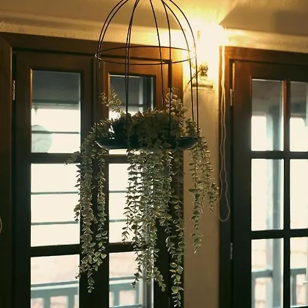 Olympia Avra Παλαιός Παντελεήμων