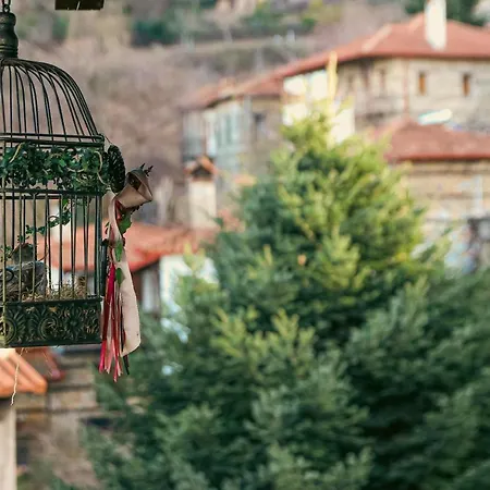 Olympia Avra Βίλα Παλαιός Παντελεήμων